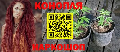 гидра Ангарск