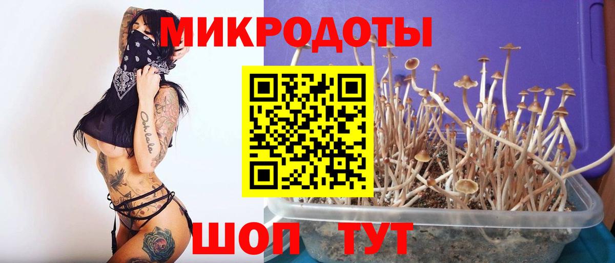 Галлюциногенные грибы Magic Shrooms Анжеро-Судженск