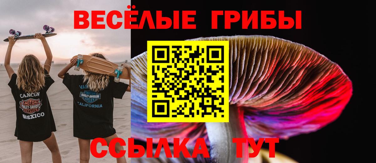Псилоцибиновые грибы прущие грибы  Вход с VPN  магазин продажи наркотиков  Анжеро-Судженск 
